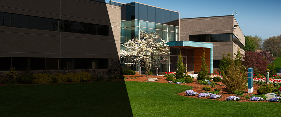 Blythewood Landscapers