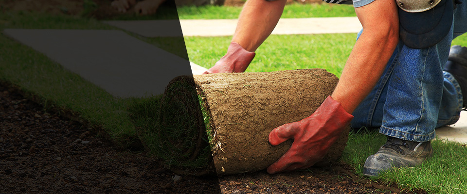 Blythewood Landscapers